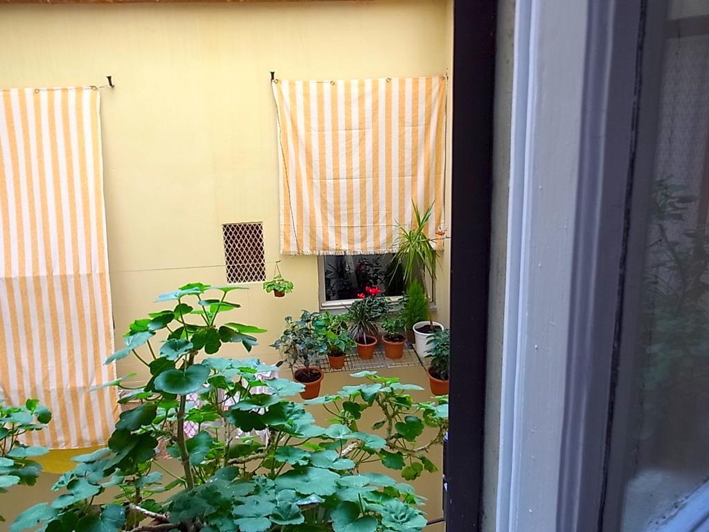 Standard Double Room,686339619:JPEG