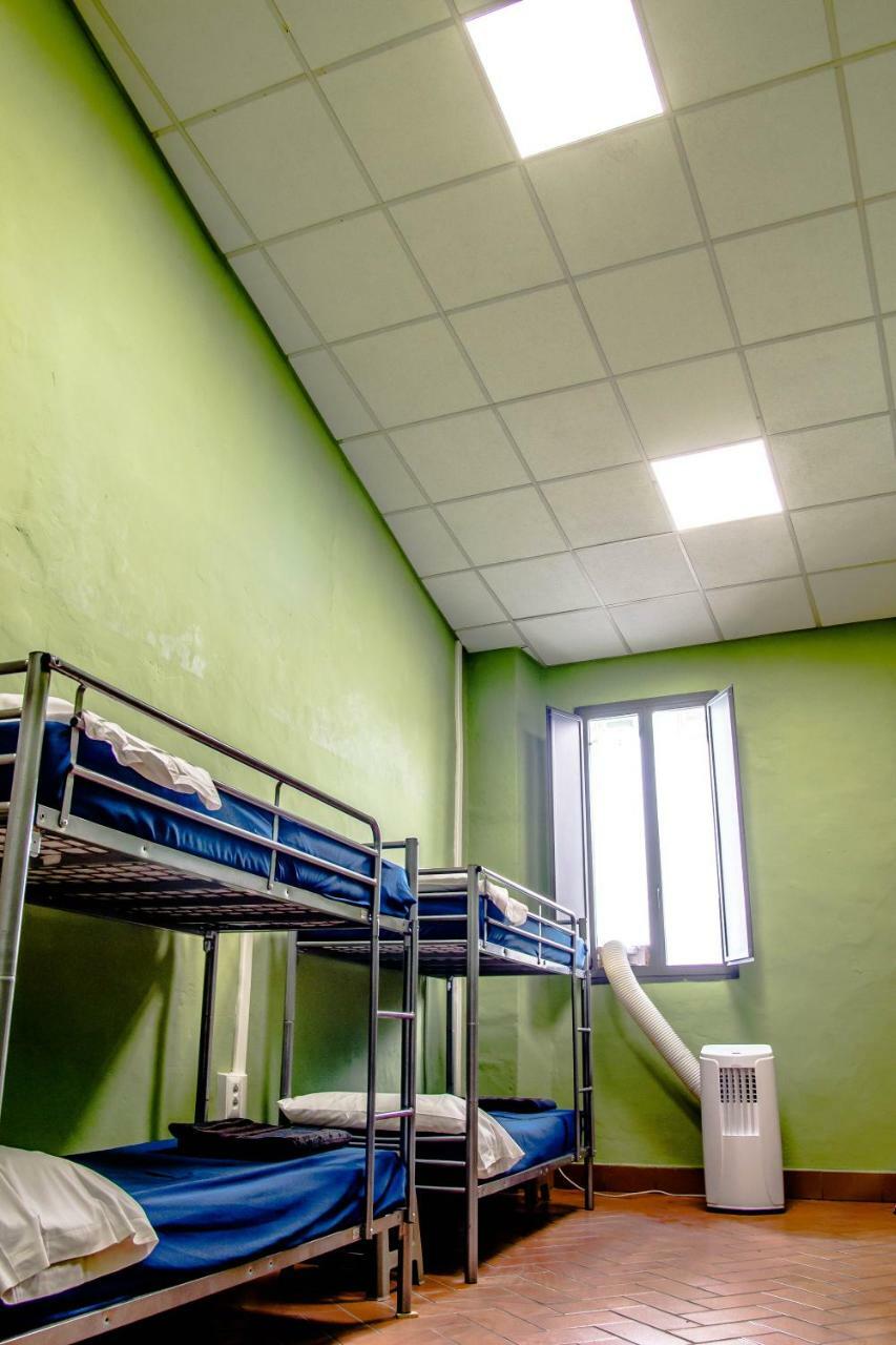 Bed 10-Bed Mixed Dormitory Room