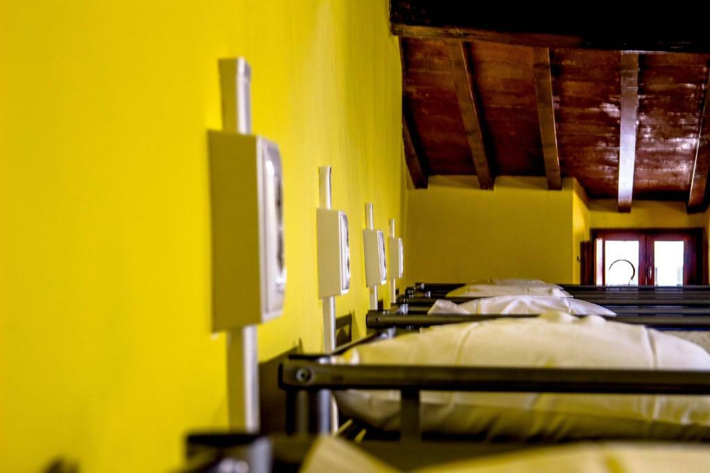 Single Bed Female Dormitory Room