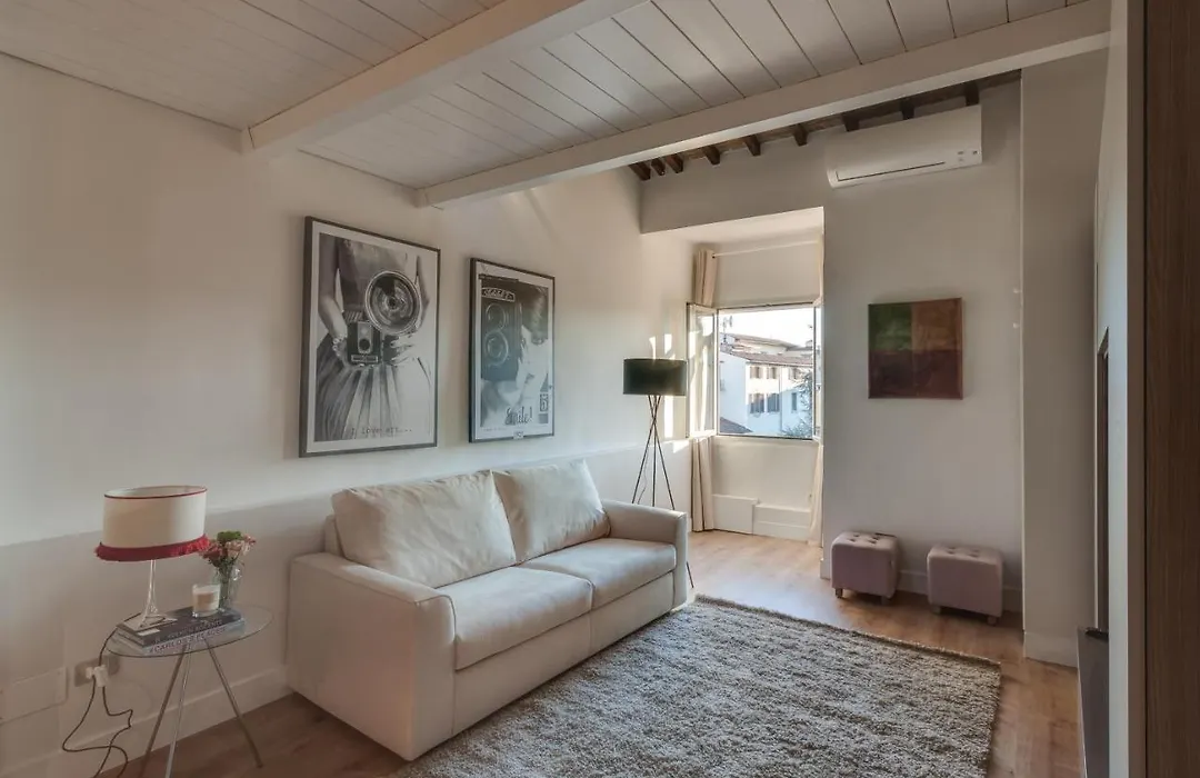 Apartments Florence Accademia Luxury Loft-1