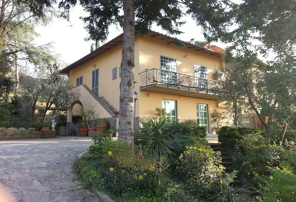 Ulivi Di Castello-1