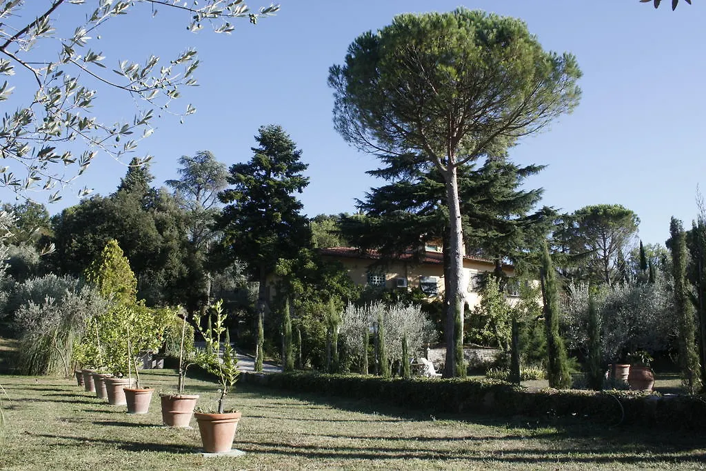 Ulivi Di Castello-1