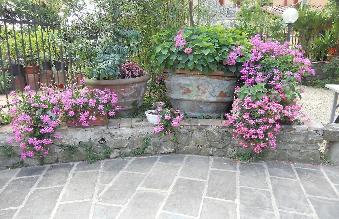 Agriturismo Le Macine-1