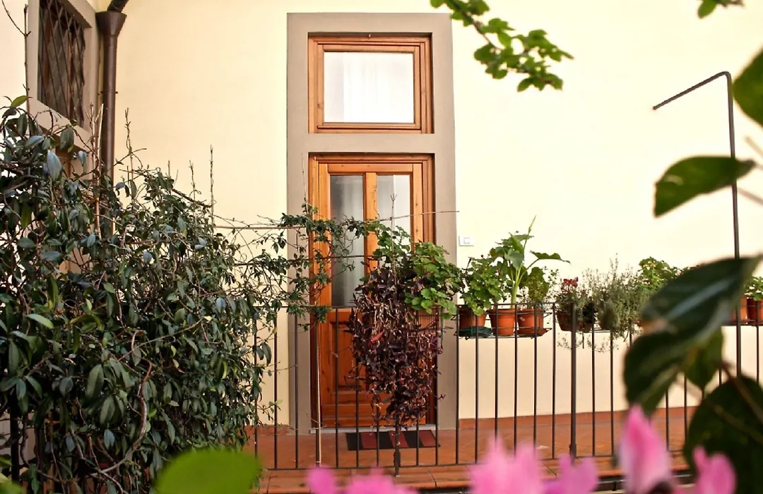 Faenza Novella-1