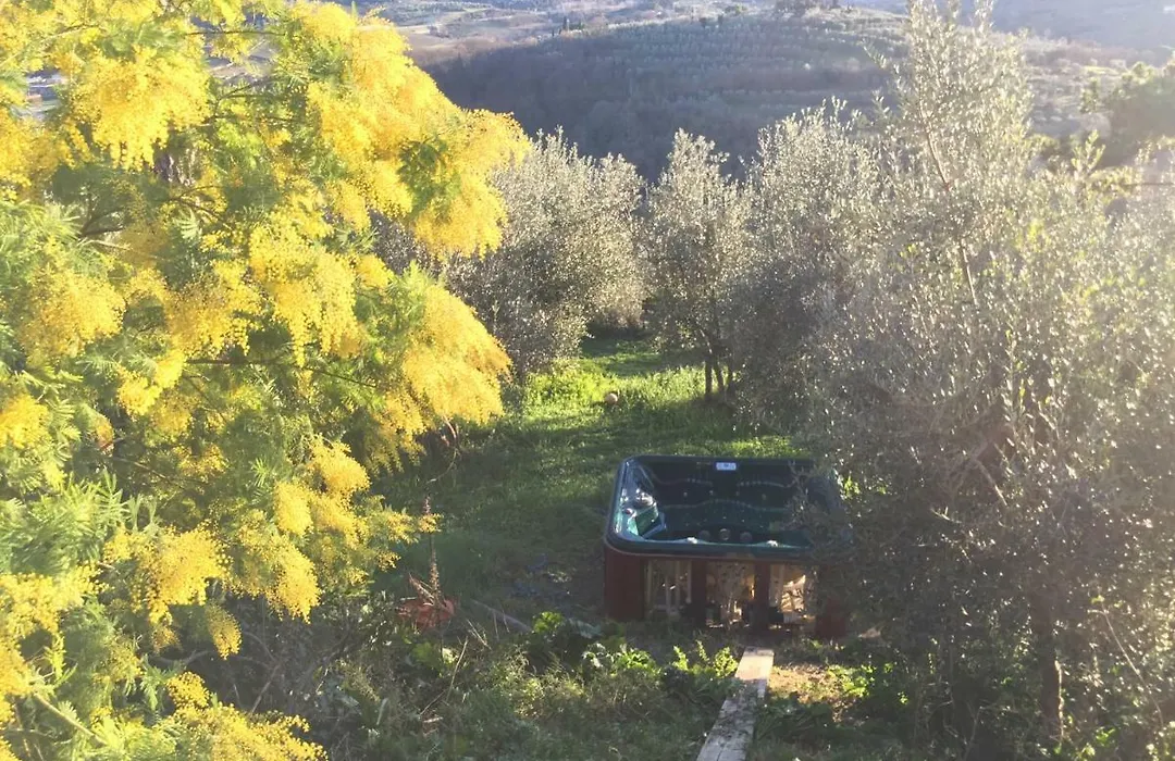 Tuscan Sun Villa-1