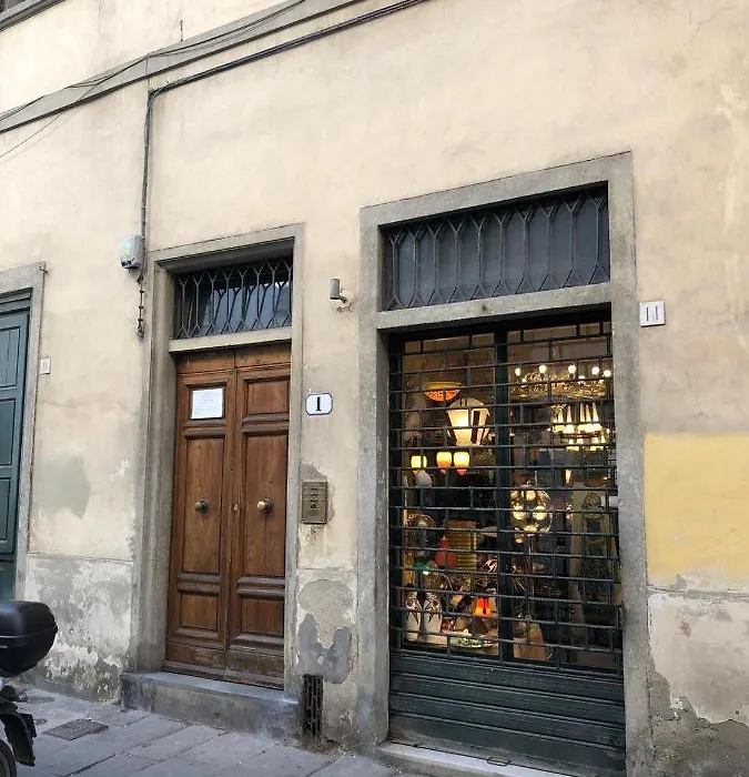 Santo Spirito Jungle-1