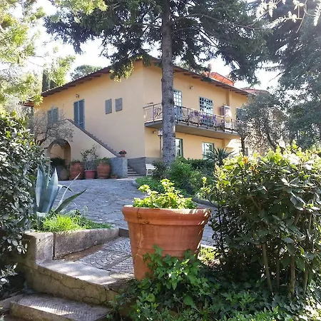Ulivi Di Castello-3