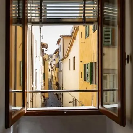 Sweet Apartment Near Piazza Pitti-3