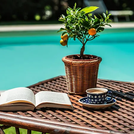 Rovezzano B&B-2