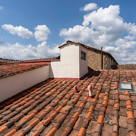 Piazza Santo Spirito Appartamento Con 2 Camere Matrimoniali-3