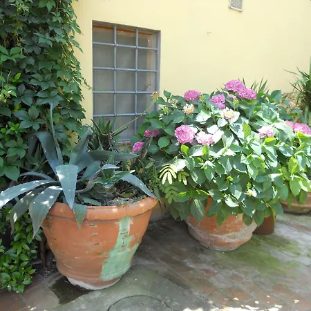 Agriturismo Le Macine-2