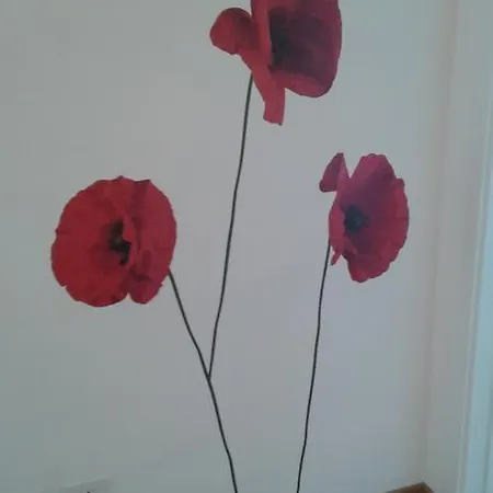 I 3 Papaveri-2