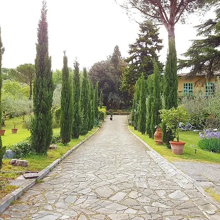 Ulivi Di Castello-2