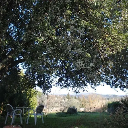Agriturismo Fattoria Di Malavolta-2