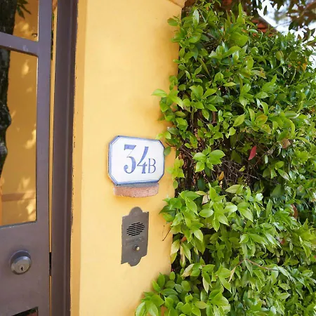 Green Nest Apartments-3