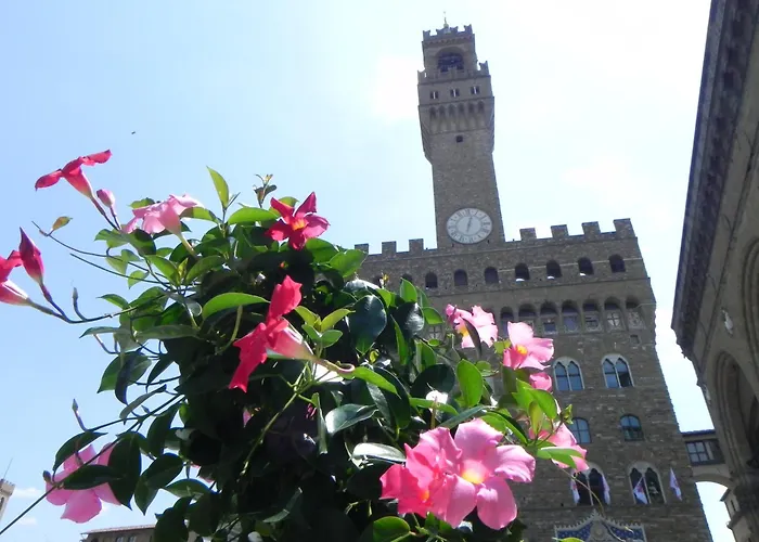 Monolocale Gallo Florence