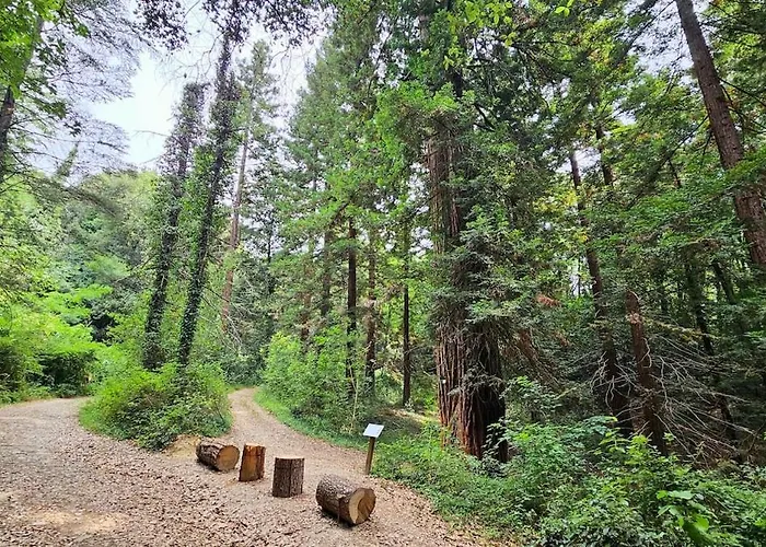 Baita nel bosco in Toscana con vasca esclusiva