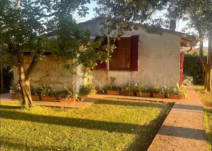 Garden Guest House
