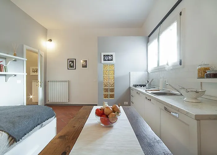Central Pitti Studio Flat Florence